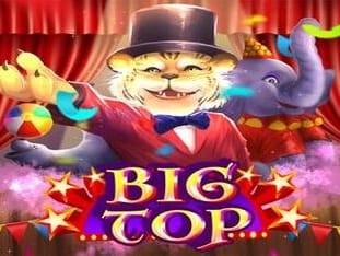 Big Top game cover