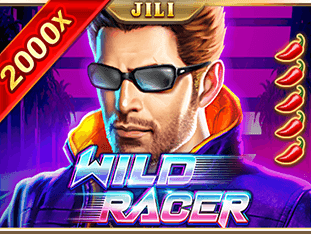 Wild Racer game cover